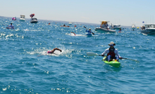 Load image into Gallery viewer, Programs ONLINE Professional Coaching - A range of MONTHLY Event Programs
